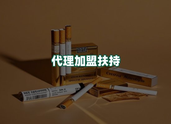 核心优势